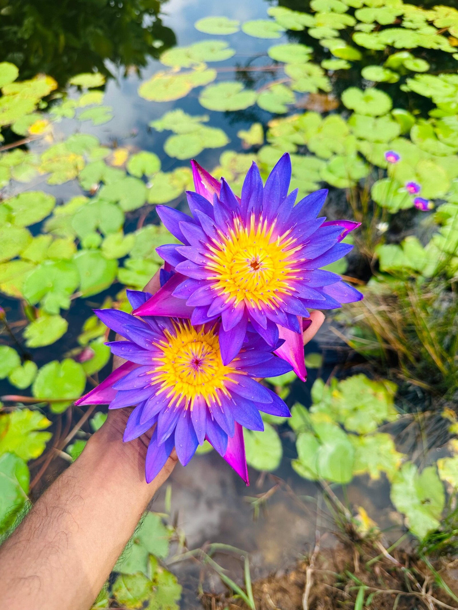 WhatsApp Image 2026-01-26 at 11.53.48 PM (2)